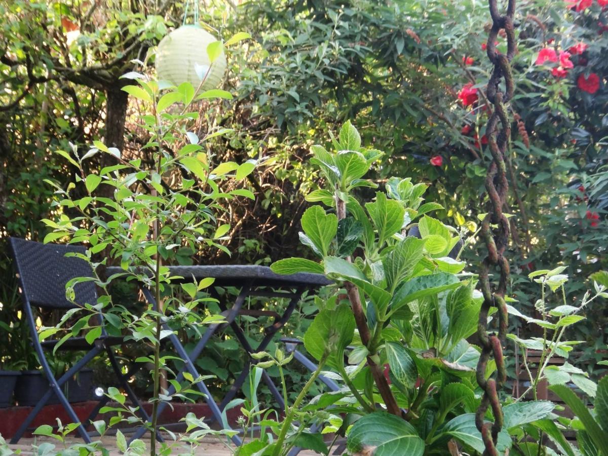 MalestroitLe Deck'Halage住宿加早餐旅馆 外观 照片